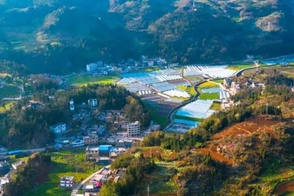 9块9包邮，D音电商下沉的目的、路径和必要性