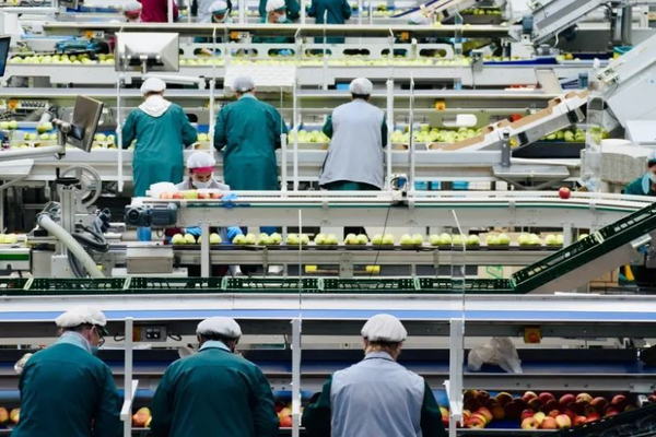 中小制造企业数字化转型应因企施策、zhong点突破